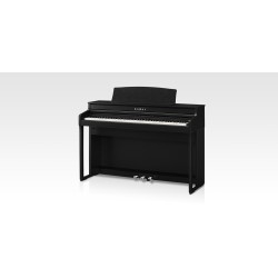 Kawai CA401