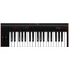 IRIG KEYS 2 PRO - TASTIERA MIDI/CONTROLLER UNIVERSALE CON 37 TASTI