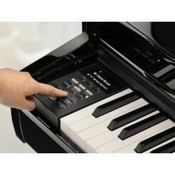 KAWAI DG30