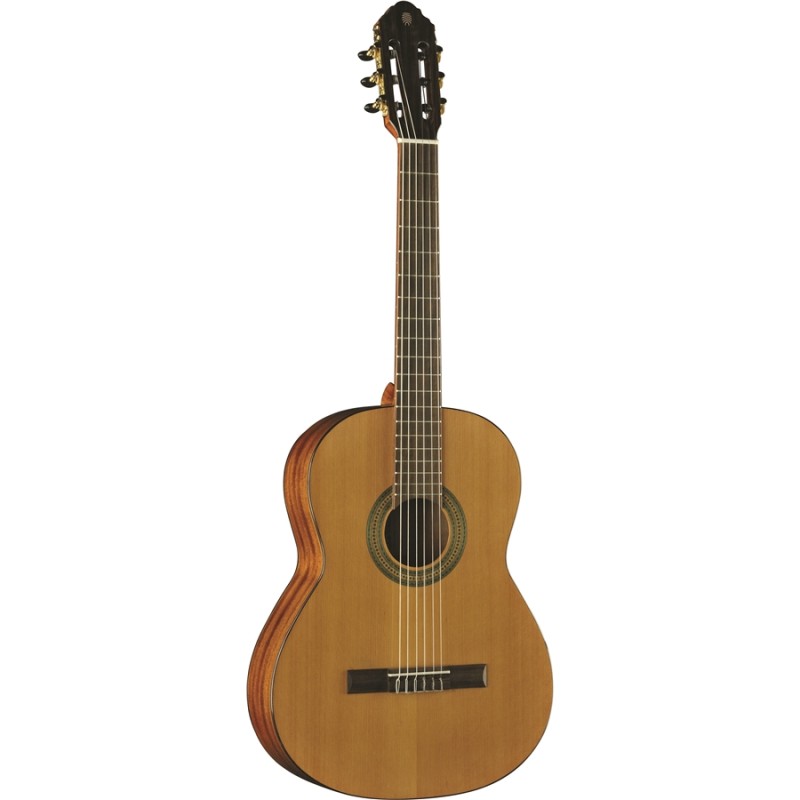 Eko Guitars - Vibra 200 Natural