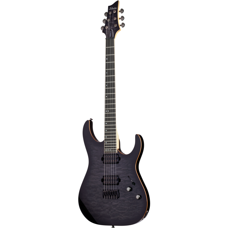 Schecter Banshee 6 P